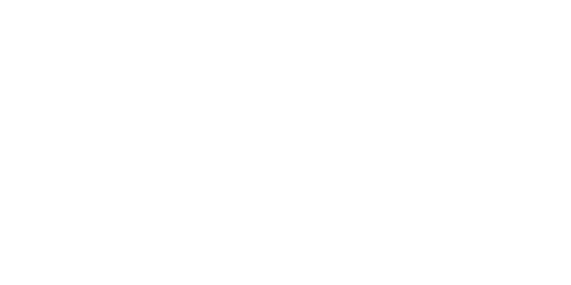 Energi-viborg